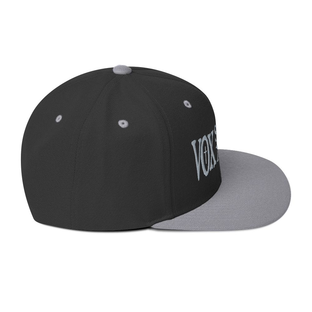 Vox Scriptura | Snapback Hat